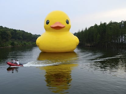 O pato é o animal mais engraçado, segundo um estudo científico.