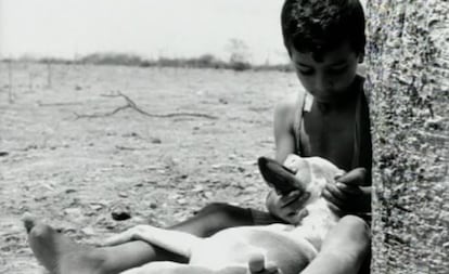 Cena do filme 'Vidas Secas', de Nelson Pereira dos Santos.