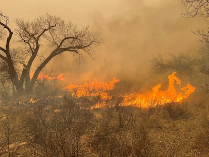 Smoke and fire rise from wildfires in a location given as Texas, U.S., in this handout picture released on February 27, 2024.