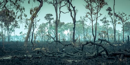 Un área quemada de la selva tropical del Amazonas.