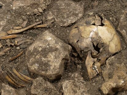 Restos infantiles de hace 4.900 años estudiados en Atapuerca.