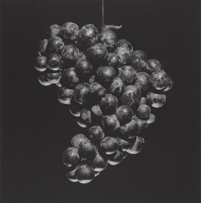 Uvas, 1985