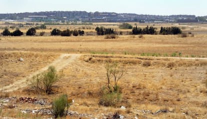 Terrenos de Alcorcón (Madrid) donde puede construirse Eurovegas.