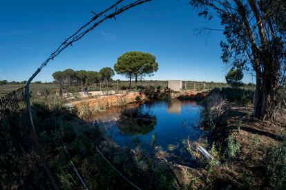Una gran balsa que acumula captaciones ilegales de agua subterránea en Doñana.