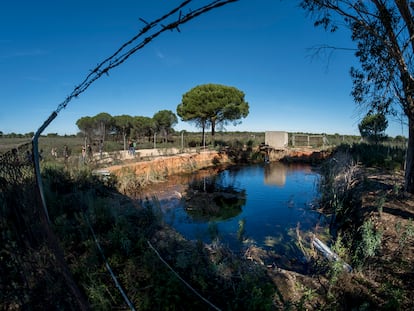 Una gran balsa que acumula captaciones ilegales de agua subterránea en Doñana.