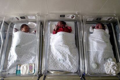 Tres niños recién nacidos en la maternidad del Hospital Clínico de Barcelona.