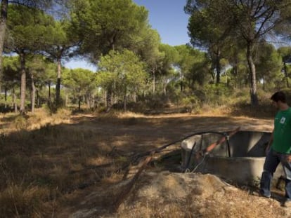 Un pozo ilegal de agua, en las inmediaciones de Do&ntilde;ana. 