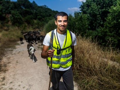 Javier de los Nietos, pastor trashumante con su rebaño de cabras a su paso por Manzanares el Real (Madrid), en junio de 2025.