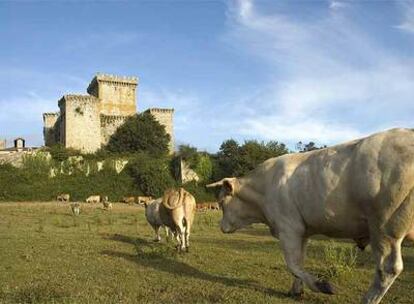 Una vista del castillo de Pambre, en Palas de Rei, desde unos de sus terrenos adyacentes.