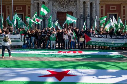 Manifestación convocada por la Plataforma 4D este domingo en Sevilla. 