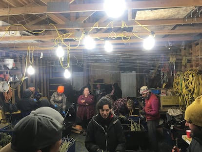 Comunidad Hmong y 'trimmers', en la organización búlgara de Alderpoint, en 2019.