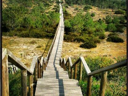 Anímate y... #tuneatufoto