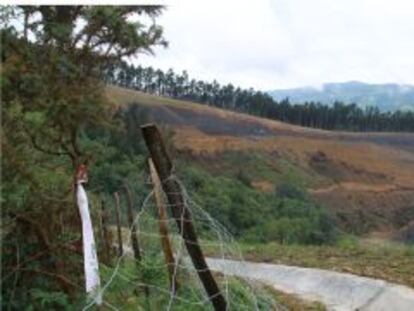 Vista de los terrenos donde está prevista la construcción de una incineradora, en Zubieta.