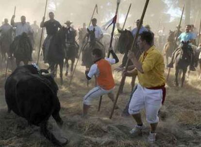 Festejo popular de el Toro de la Vega (Valladolid).