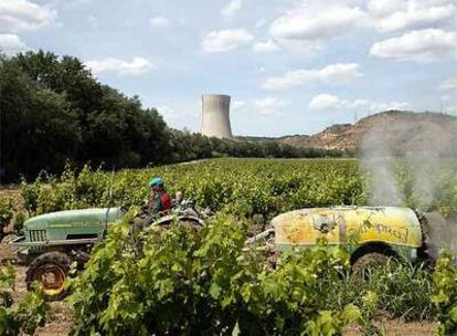 La central nuclear, vista desde unos viñedos de Vinebre, localidad vecina de Ascó.