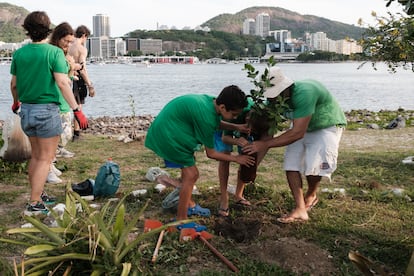 Adultos y jóvenes voluntarios plantan un árbol joven en la Playa de Botafogo, en Río de Janeiro