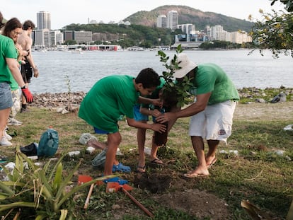 Adultos y jóvenes voluntarios plantan un árbol joven en la Playa de Botafogo, en Río de Janeiro.