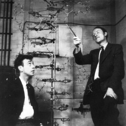 James Watson y Francis Crick (derecha), junto a un modelo de ADN.