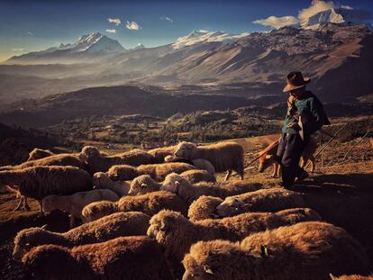 Pastor de ovelhas no Parque Nacional de Huascarán, em Huaraz (Peru).