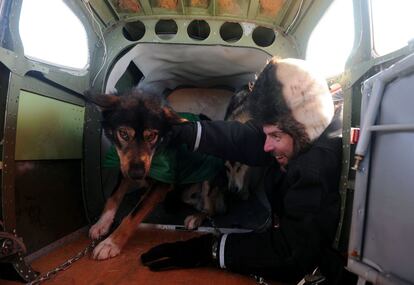 Un piloto que forma parte de la organización carga a un perro que ha sufrido una lesión durante la carreta de trineos, en el puesto de control de Cripple (Alaska), 6 de marzo de 2014.