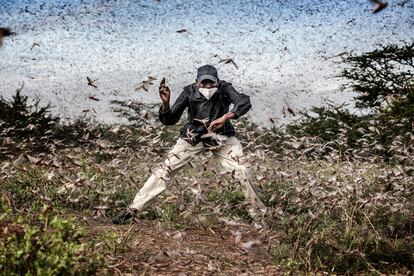 Con esta foto realizada en el norte de Kenia, Luis Tato se ha llevado el tercer premio de historias de la naturaleza.