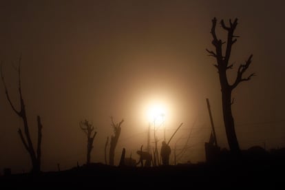 Unos hombres ayudan en los trabajos de limpieza de la zona afectada por el incendio de Valparaíso (Chile).