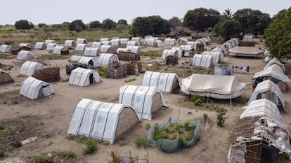 Las personas desplazadas que han sido acogidas en el centro de Quaia se quejan de las condiciones infrahumanas en las que viven, y aprovechan cada espacio, por pequeño que sea, para intentar cultivar algo que llevarse a la boca.