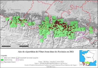 osos pirineos