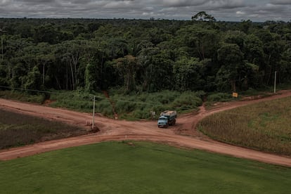 Un camión circula dentro de una hacienda en las afueras de Sinop, en la Amazonia. 