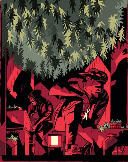 Marihuana en California