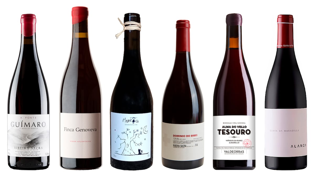 Seis vinos tintos gallegos de variedades autóctonas en riesgo de extinción