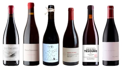 Vinos tintos gallegos
