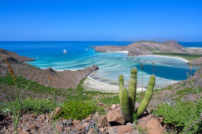 Vista de Playa Balandra, en Baja California Sur, México.