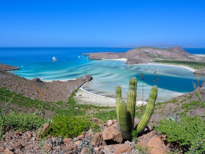 Vista de Playa Balandra, en Baja California Sur, México.