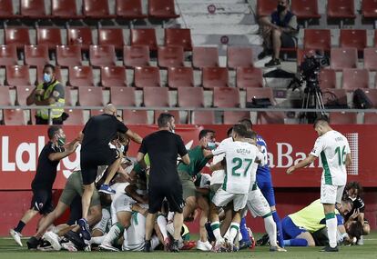 Los jugadores del Elche celebran el gol de Pere Milla que les da el ascenso.