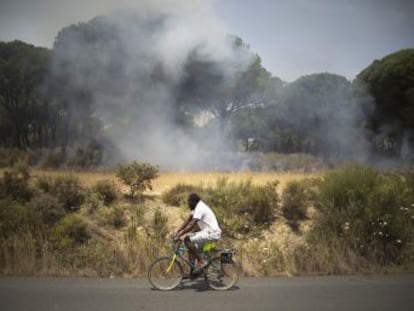 Los ecologistas y la Junta rechazan vincular el incendio forestal con la especulación urbanística