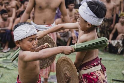 Dos luchadores balineses se enfrentan armados con hojas de pandanus, de borde espinoso, durante el ritual sagrado anual de Usaba Sambah en Tenganan, Karangasem, Bali (Indonesia). Mediante los duelos, los combatientes creen que hacen un sacrificio a los dioses para conseguir el equilibrio entre el cuerpo humano y el universo.  