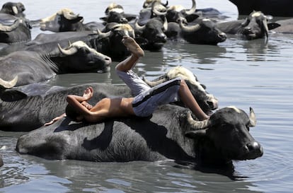 Un ni&ntilde;o descansa tumbado sobre un b&uacute;falo en el r&iacute;o Diyala en Baghdad, Irak. 