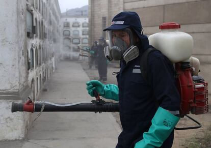 Un trabajador fumiga un cementerio en Lima (Peru), para luchar contra el mosquito Aedes, el 12 de febrero. 