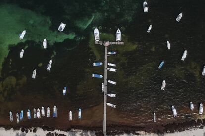Vista aérea de embarcaciones en Puerto Morelos que flotan sobre aguas cubiertas de sargazo.