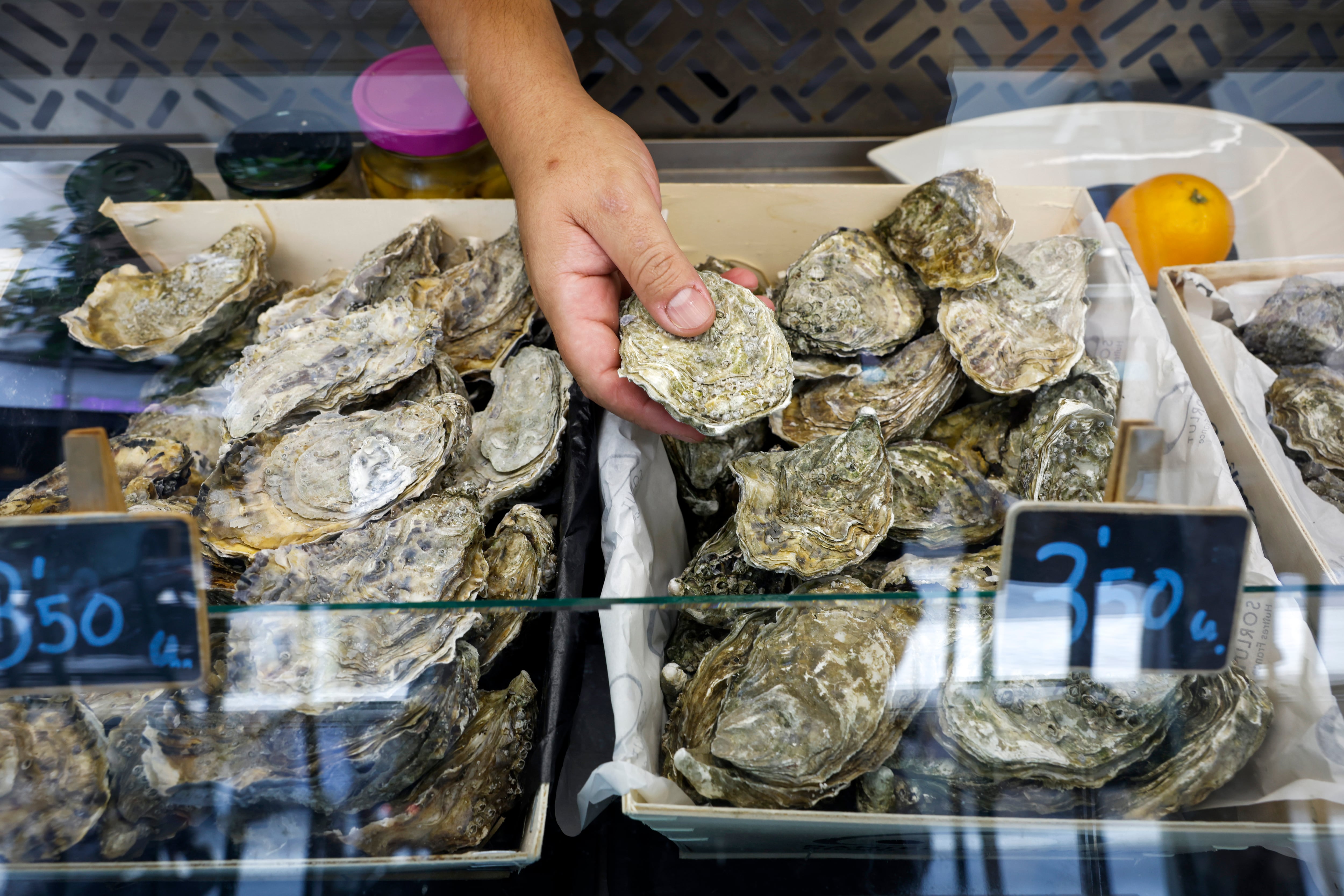 Detalle de La Ostrería del Carmen, un puesto especializado en ostras y productos del mar, ubicado en el interior del Mercado de Mossén Sorell.