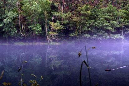 Niebla sobre el río en el Parque Natural de As Fragas
