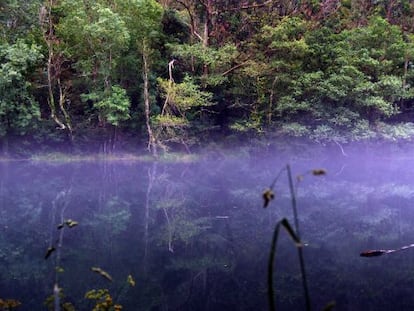 Niebla sobre el r&iacute;o en el Parque Natural de As Fragas 