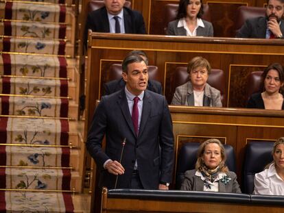 El presidente del Gobierno, Pedro Sánchez, interviene durante una sesión de control al Gobierno, en el Congreso de los Diputados, este miércoles.