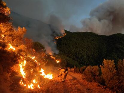 Bomberos forestales luchan por apagar las llamas en el incendio de Sierra Bermeja (Málaga), el 18 de septiembre.