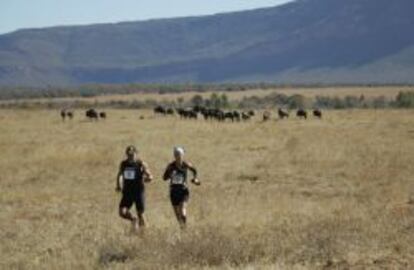 Maratón del Big Five, por la sabana sudafricana.