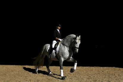 Una mujer monta un caballo de pura raza española durante el Salón Internacional del Caballo de Pura Raza Española, en Sevilla.