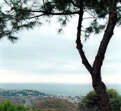 Vista de la zona del monte de San Antón en la que se proyecta el complejo residencial y deportivo.