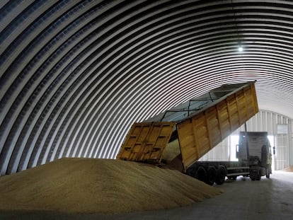 Descarga de grano en Zghurivka, Ucrania, en agosto del año pasado.