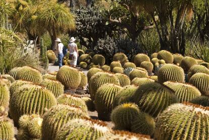 La institución del magnate Henry E. Huntington, situada en el valle de San Gabriel (California), tiene una magnífica colección de arte y una biblioteca de investigación, pero también el jardín botánico que Huntington mandó construir en 1903 para transformar los terrenos de un rancho anterior. Con más de catorce mil especies y 14 jardines diferentes, el lugar es impresionante. Destacan, entre otros espacios, un jardín selvático con orquídeas y una dombeya, un jardín shakespeariano con plantas que aparecen en sus obras, otro japonés, uno del desierto y varios estanques con nenúfares. Para planificar la visita y explorar los jardines, así como averiguar datos poco conocidos sobre su flora, <a href="http://www.huntington.org/" target="_blank">se puede consultar su web</a>.